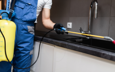 DIY Pest Control vs. Professional Services: What’s the Best Choice for Your Home?