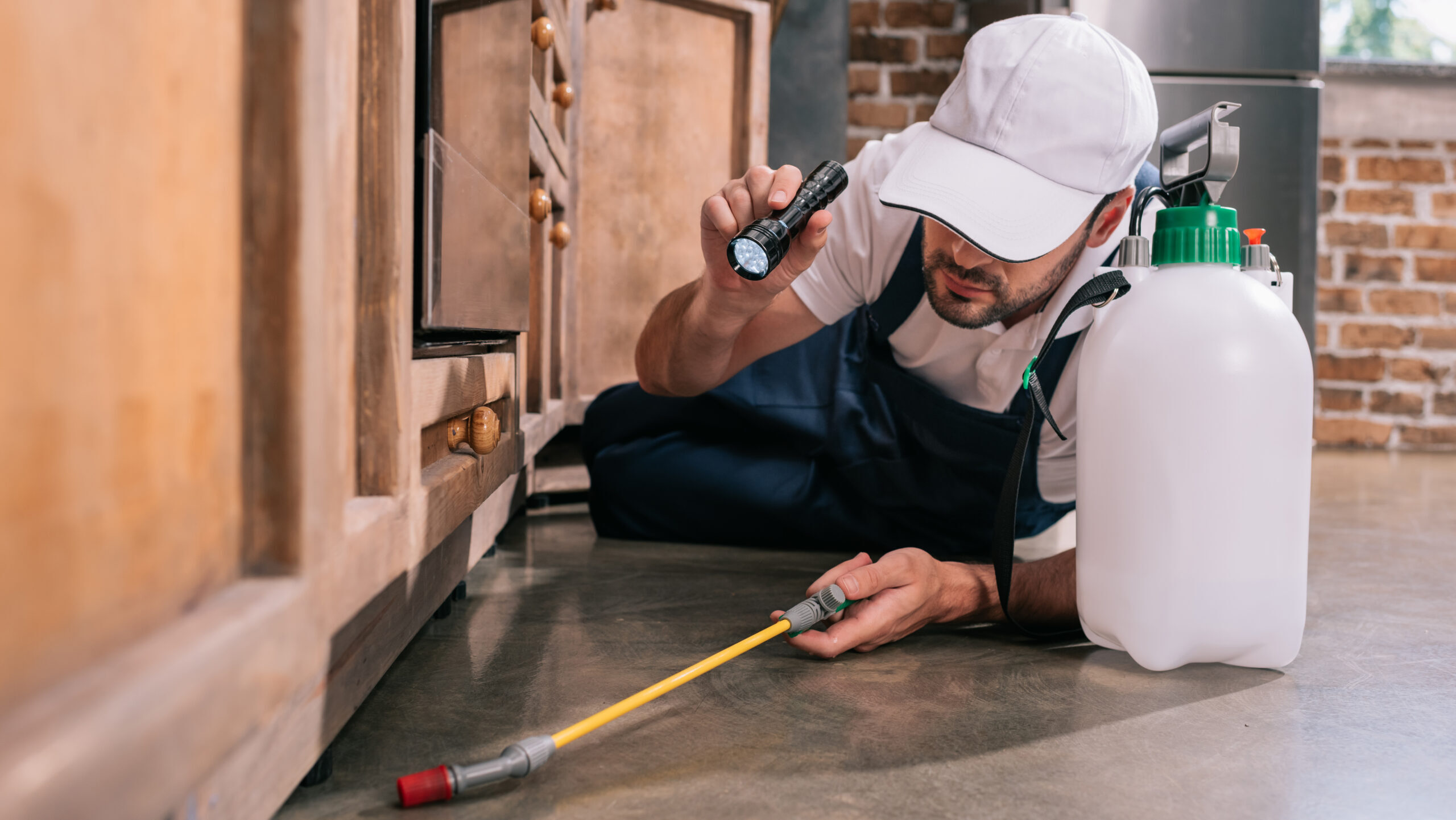 pest control worker lying on floor and spraying pesticides under cabinet in kitchen