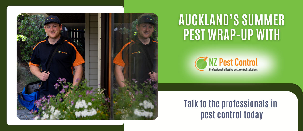 Auckland Summer Pest Wrap-Up with NZ Pest Control