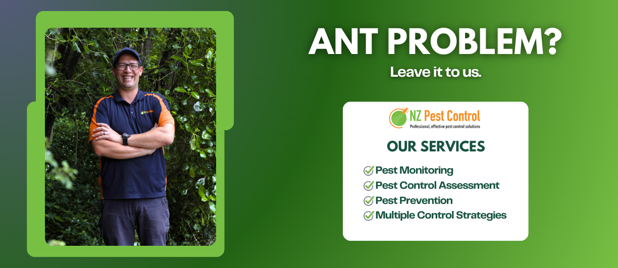 Ant Problem? Let the experts at NZ Pest Control sort it.