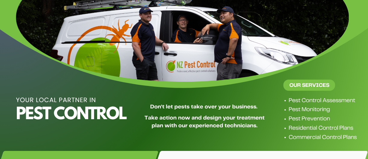 NZ Pest Control and Commercial Pest Treatments