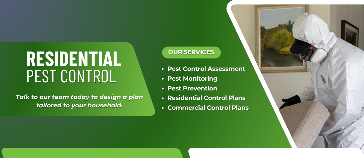 NZ Pest Control provides residential services to keep Auckland homes protected