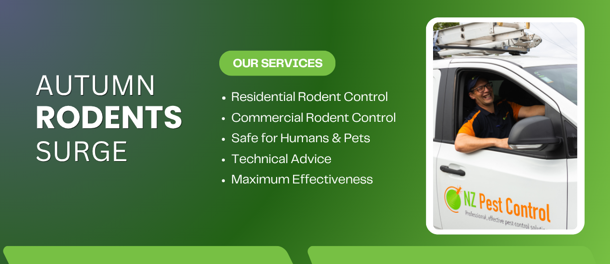 Autumn Rodent Surge with NZ Pest Control here to help!
