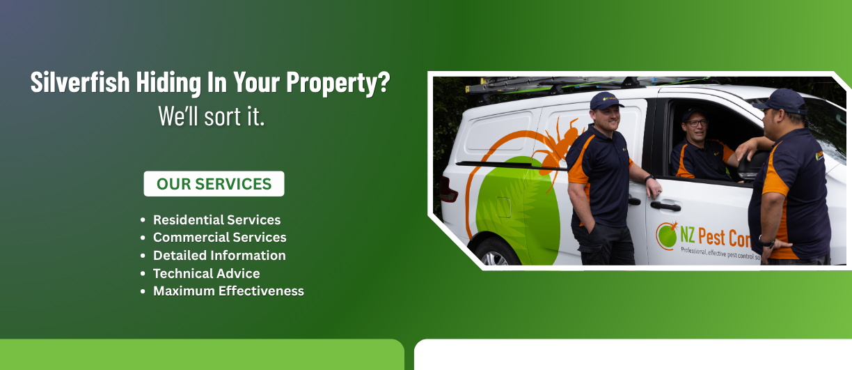 Seeing silverfish around your property? Call NZ Pest Control today