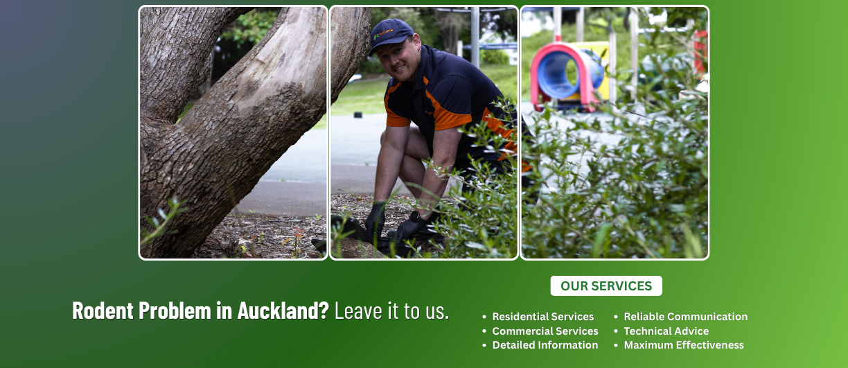 NZ Pest Control can handle your rodent control needs