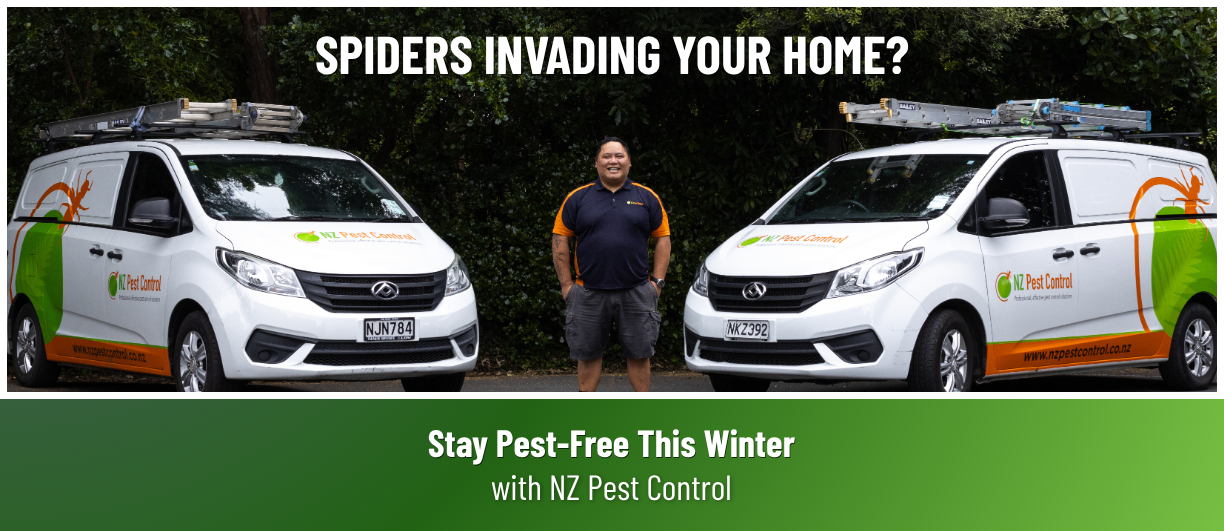 Spider problems this winter? Call NZ Pest Control today