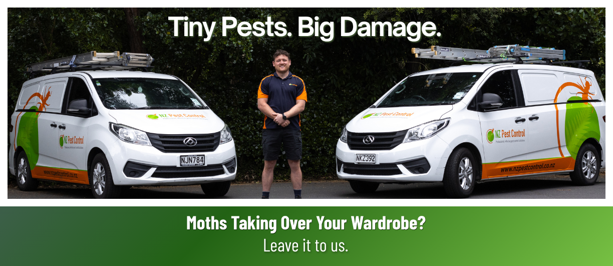 tiny pests. big damage.