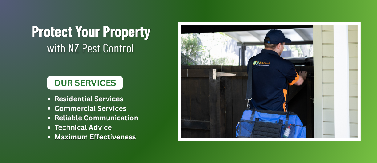bird proofing with nz pest control