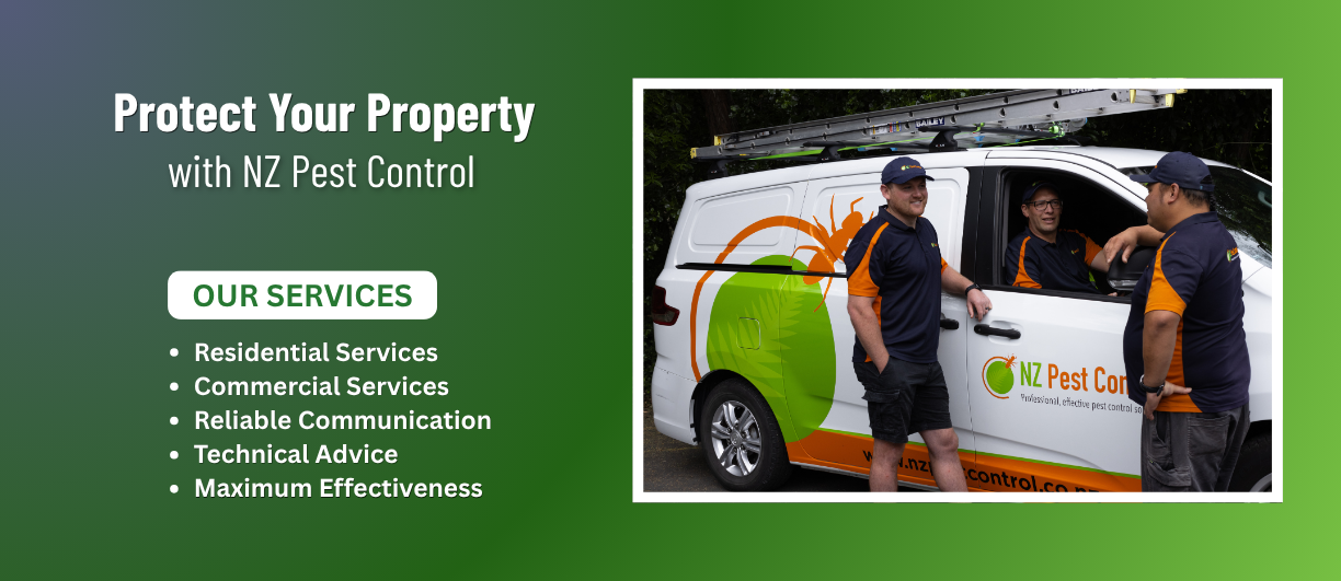 NZ Pest Control provides commercial bird proofing in Auckland