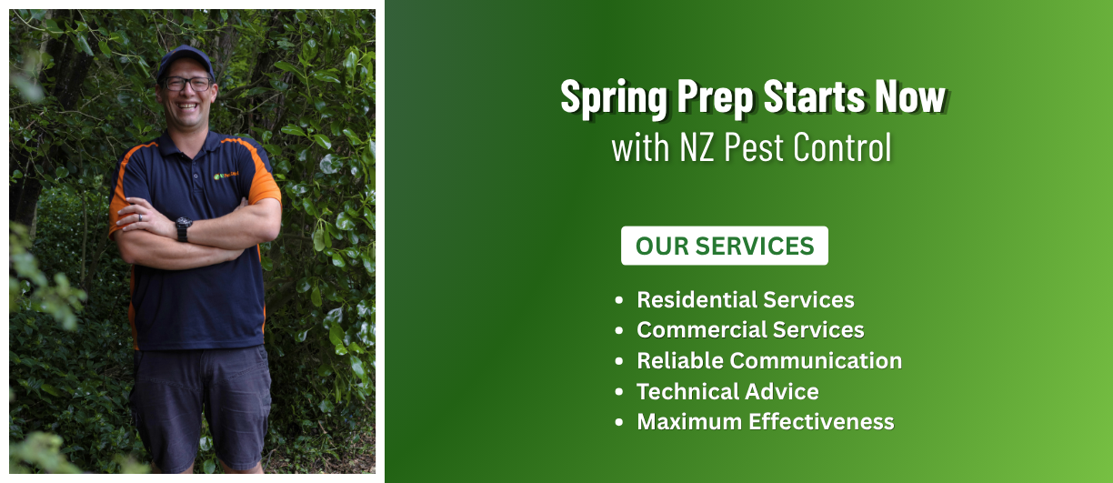 Pest Control Auckland: Get Ahead of Pests This Spring